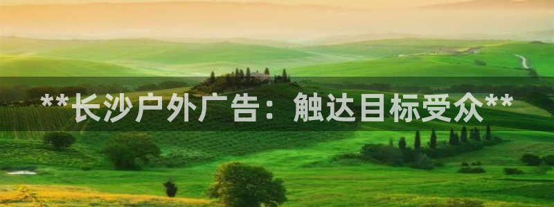 杏宇平台注册登录：**长沙户外广告：触达目标受众**