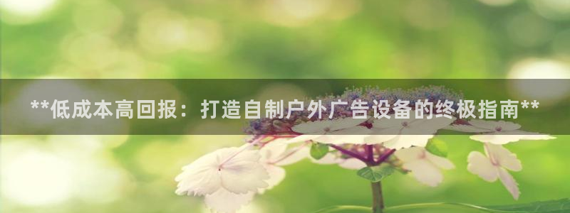 杏宇平台总代理：**低成本高回报：打造自制户外广告设备的终极指南**