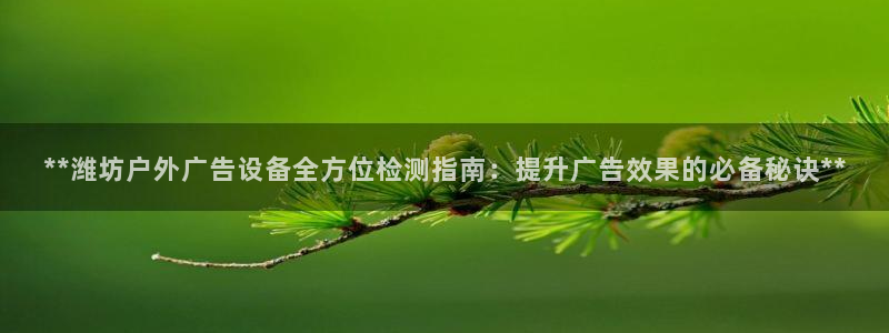 杏宇官方平台官网入口：**潍坊户外广告设备全方位检测指南：提升广告效果的必备秘诀**