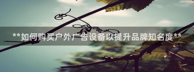 杏宇平台总代理是谁：**如何购买户外广告设备以提升品牌知名度**