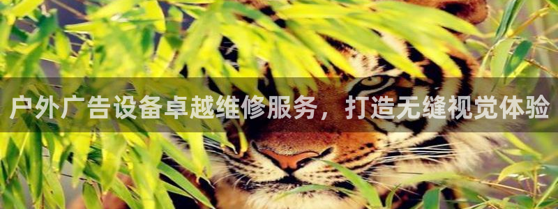 杏宇平台代理多少钱一个月