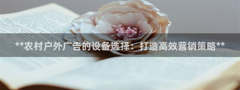 杏宇官方平台官网下载：**农村户外广告的设备选择：打造高效营销策略**