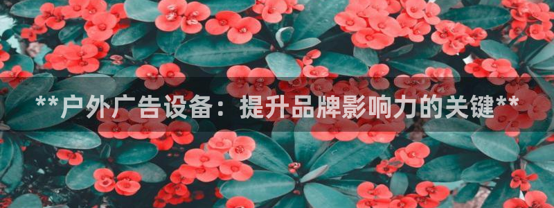 杏宇平台代理：**户外广告设备：提升品牌影响力的关键**