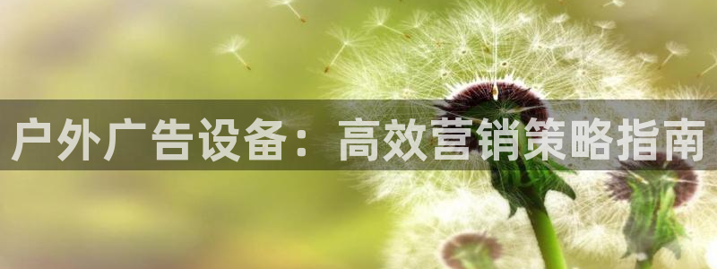 杏宇平台招商怎么样：户外广告设备：高效营销策略指南