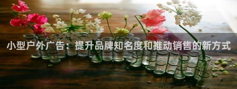 杏宇平台代理：小型户外广告：提升品牌知名度和推动销售的新方式