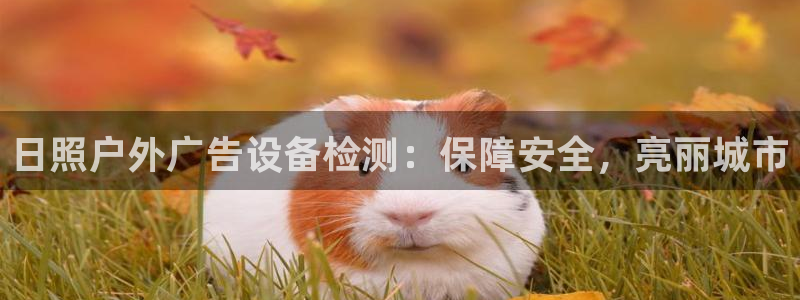 杏宇平台代理多少钱一个月