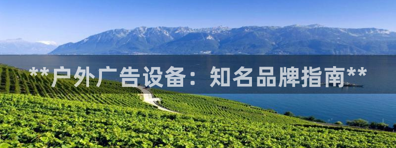 杏宇平台代理多少钱：**户外广告设备：知名品牌指南**