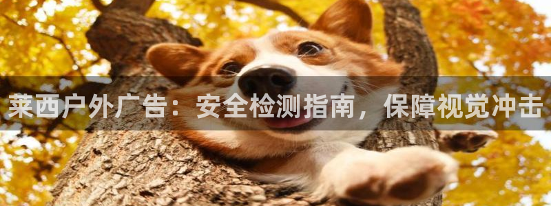 杏宇官方平台官网