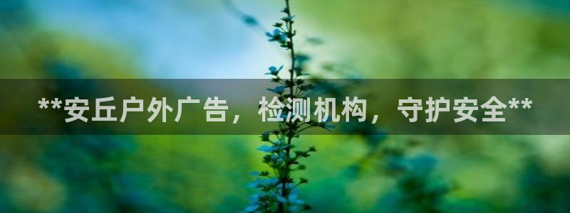 杏宇平台招商