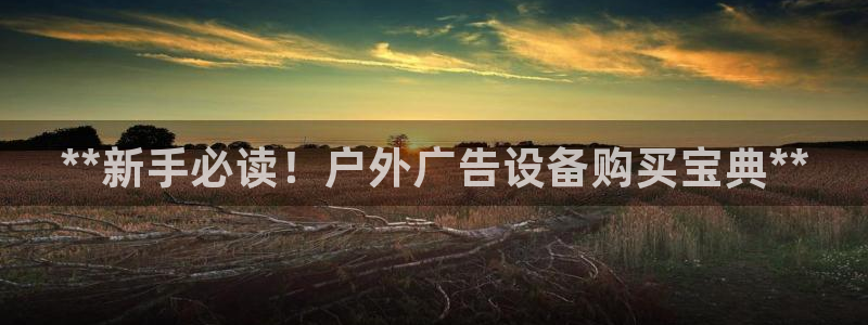 杏宇平台总代理