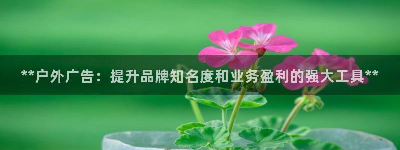 杏宇平台测速链接：**户外广告：提升品牌知名度和业务盈利的强大工具**