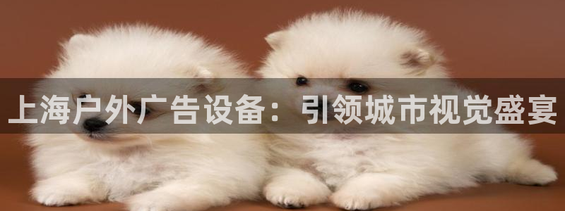 杏宇官方平台官网入口
