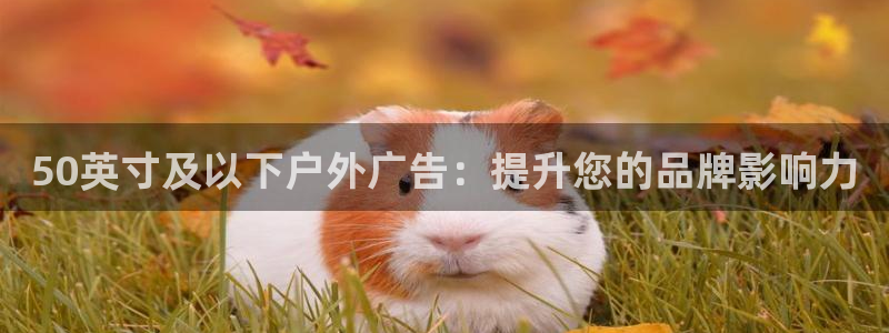 杏宇平台代理多少钱一个月：50英寸及以下户外广告：提升您的品牌影响力