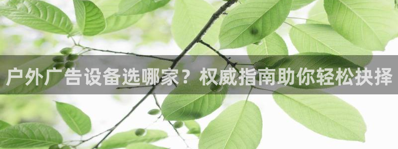 杏宇平台登录方法