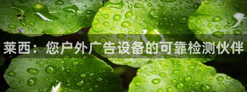 杏宇平台开户