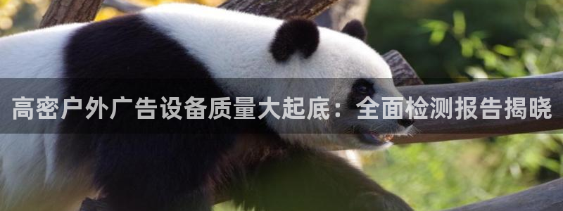 杏宇官方平台官网入口