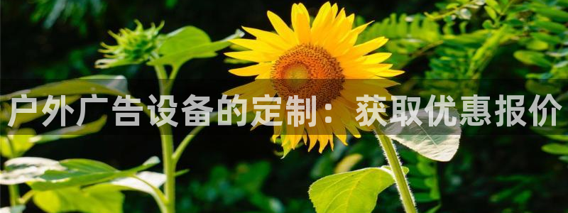 杏宇平台招商电话号码：户外广告设备的定制：获取优惠报价