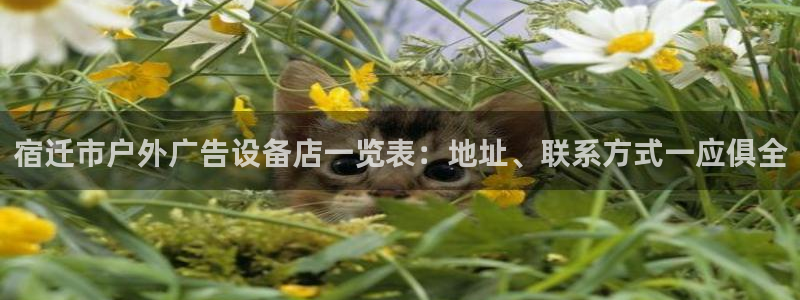 杏宇平台注册登录