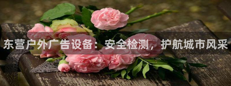 杏宇平台怎么样