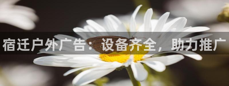 杏宇平台登录步骤