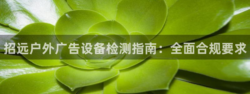 杏宇平台代理怎么赚钱的：招远户外广告设备检测指南：全面合规要求