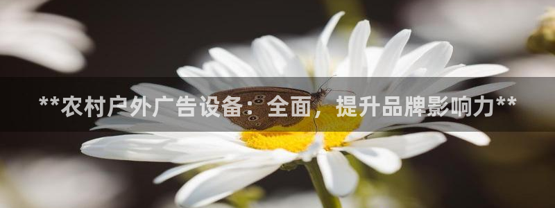 杏宇平台总代理：**农村户外广告设备：全面，提升品牌影响力**