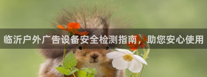 杏宇平台登录步骤图