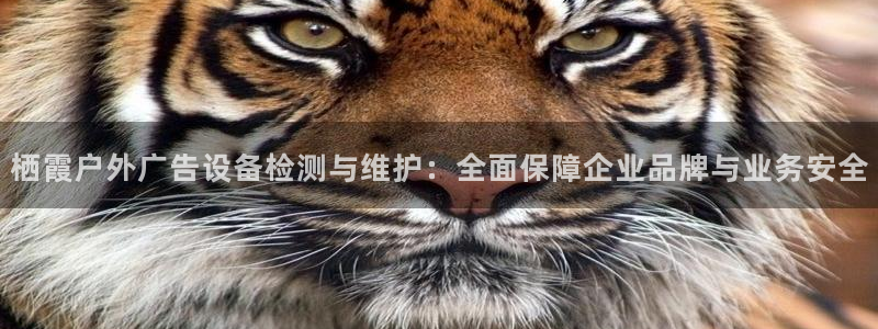 杏宇平台总代理：栖霞户外广告设备检测与维护：全面保障企业品牌与业务安全