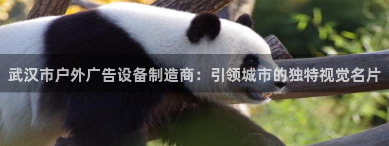 杏宇平台注册地址在哪里：武汉市户外广告设备制造商：引领城市的独特视觉名片