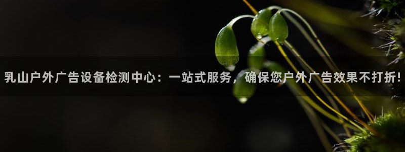 杏宇平台总代理：乳山户外广告设备检测中心：一站式服务，确保您户外广告效果不打折!