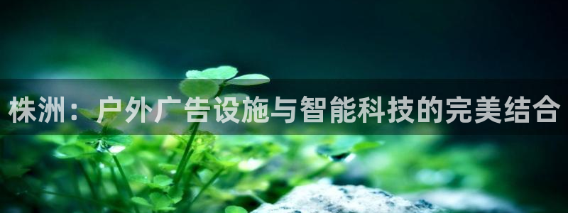 杏宇平台客服：株洲：户外广告设施与智能科技的完美结合