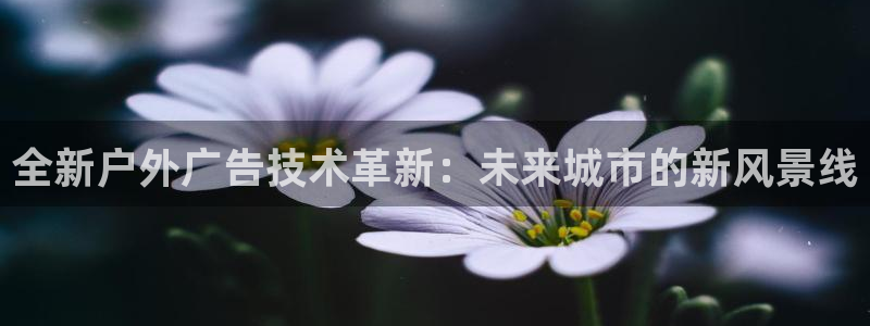 杏宇平台代理多少钱一次：全新户外广告技术革新：未来城市的新风景线