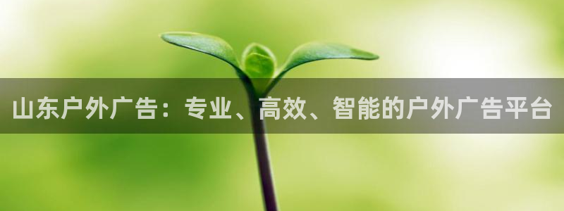 杏宇平台总代理是谁：山东户外广告：专业、