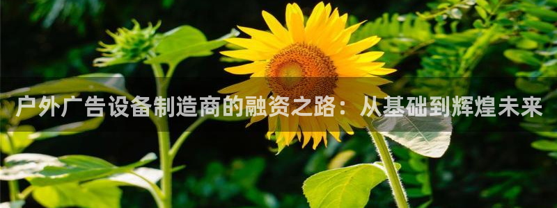 杏宇平台招商电话号码