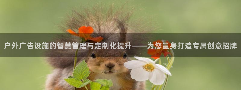 杏宇平台代理怎么样赚钱：户外广告设施的智