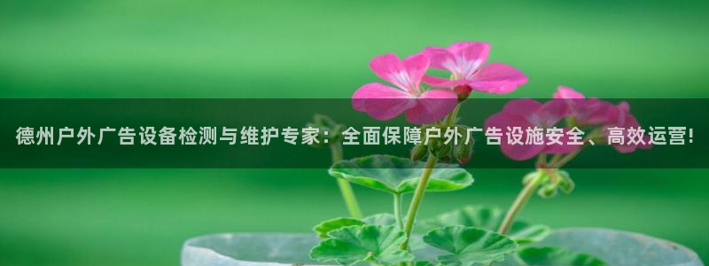 杏宇平台登录方法：德州户外广告设备检测与