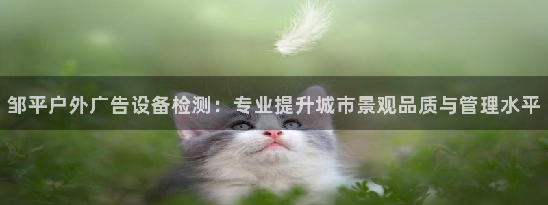 杏宇官方平台官网入口：邹平户外广告设备检